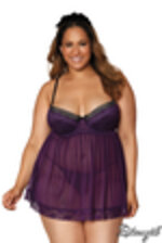 Image de DG11020 - Plum