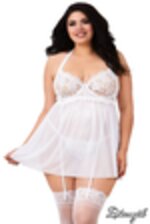 Image de DG11456 - White