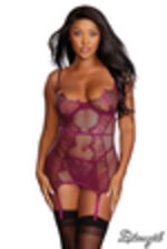 Image de DG11870 - Berry