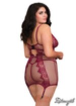 Image de DG11870 - Berry