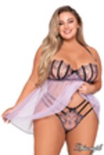 Image de DG12167 - Lavender
