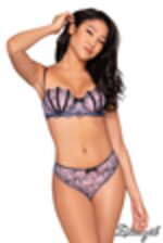 Image de DG12168 - Lavender