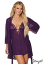 Image de DG12239 - Plum