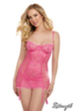 Image de DG12358 - Fuchsia