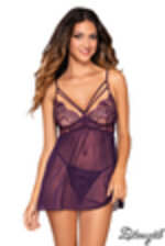 Image de DG12467 - Plum