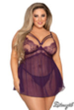 Image de DG12467 - Plum