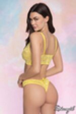 Image de DG12610 - Yellow
