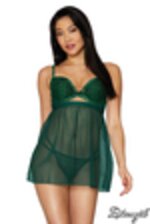 Image de DG12687 - Green