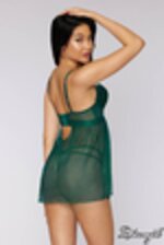 Image de DG12687 - Green
