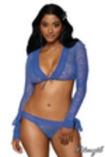 Image de DG12927 - Periwinkle