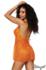 Image de DG12998 - Orange