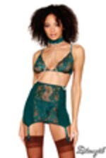 Image de DG13080 - Green