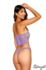 Image de DG13204 - Lilac