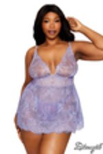 Image de DG13235 - Lilac