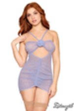 Image de DG13276 - Lilac