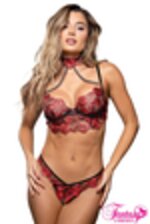 Image de FA2425 - Black-Red