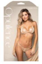 Image de FA2430 - Gold