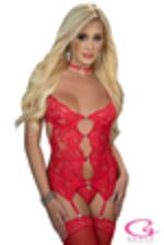 Image de GWBL2181 - Red