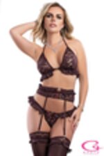 Image de GWOH2380 - Cocoa