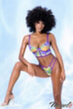 Image de MA8749 - Purple-Yellow