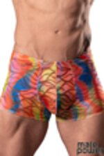 Image de MP131-293 - Rainbow