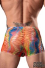 Image de MP131-293 - Rainbow