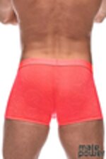 Image de MP145-263 - Coral