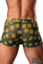 Image de MP145-285 - Daisy