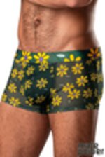 Image de MP145-285 - Daisy