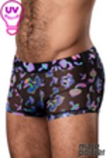 Image de MP145-294 - Rainbow