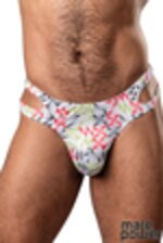 Image de MP237-292 - Rainbow