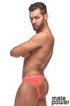 Image de MP300-263 - Coral