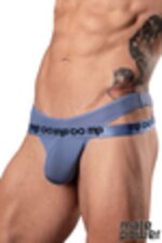 Image de MP406-287 - Periwinkle