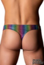 Image de MP421-297 - Rainbow