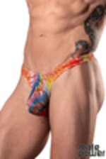 Image de MP431-293 - Rainbow