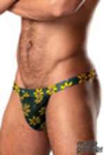 Image de MP433-285 - Daisy