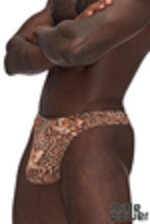 Image de MP444-030 - Animal Print