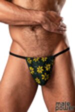 Image de MP450-285 - Daisy