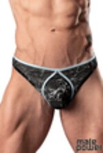 Image de MP461-290 - Silver