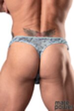 Image de MP461-290 - Silver