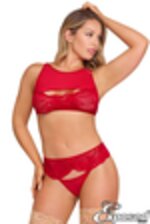 Image de MSM257 - Red