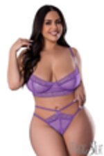 Image de MSM333 - Purple