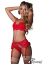 Image de MSM398 - Red