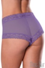 Image de MSP416 - Purple