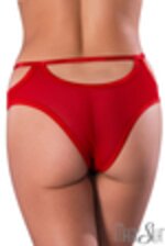 Image de MSP419 - Red