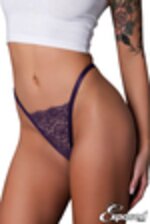 Image de MSP451 - Plum