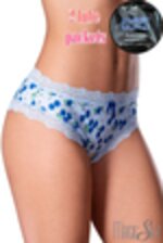 Image de MSPL02 - Blueberry