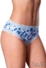 Image de MSPL02 - Blueberry