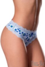 Image de MSPL03 - Blueberry