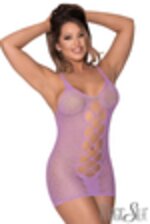 Image de MSS122 - Lavender